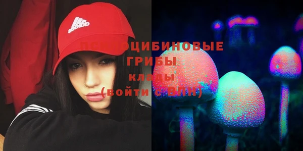 соль ск Абинск