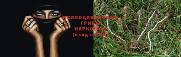 мет Абаза